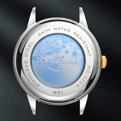 Đồng hồ nam chính hãng IW Carnival  IW625G-1 ,kính sapphire,chống xước,chống nước 50m,Bh 24 tháng,máy cơ (automatic)