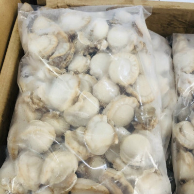 Còi sò điệp hấp ( size 40-60 còi)-1kg