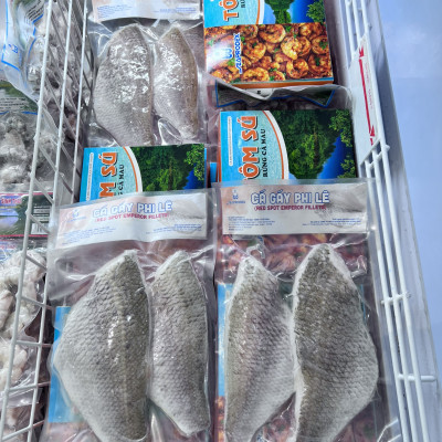 CÁ GÁY PHI LÊ SEAPRODEX-270G