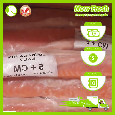 [GIAO NHANH HCM] Lườn Cá Hồi Nauy (cắt 5cm+) - Túi 500gr