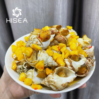 Ốc bulot Pháp ( size 60-80 con) - 1 kg