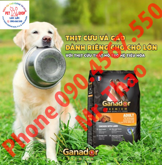 20KG Thức ăn Keos vị Trứng, Gà và Sữa dành cho cún con - KEOS DOG PUPPY MILK, CHICKEN AND EGG