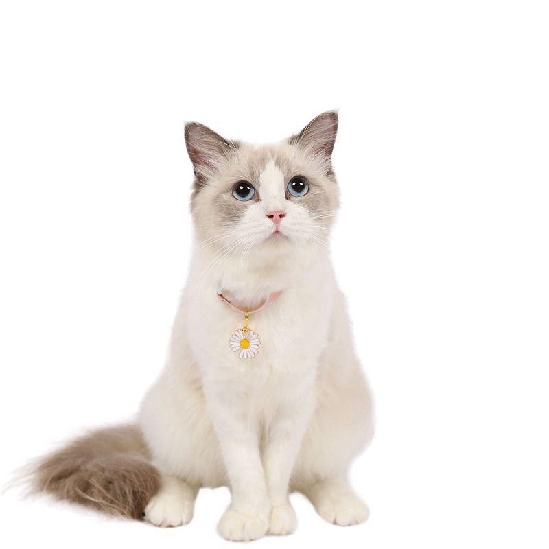 Vòng cổ thú cưng xinh xắn - Genyo collar 063 ( mẫu giao ngẫu nhiên )