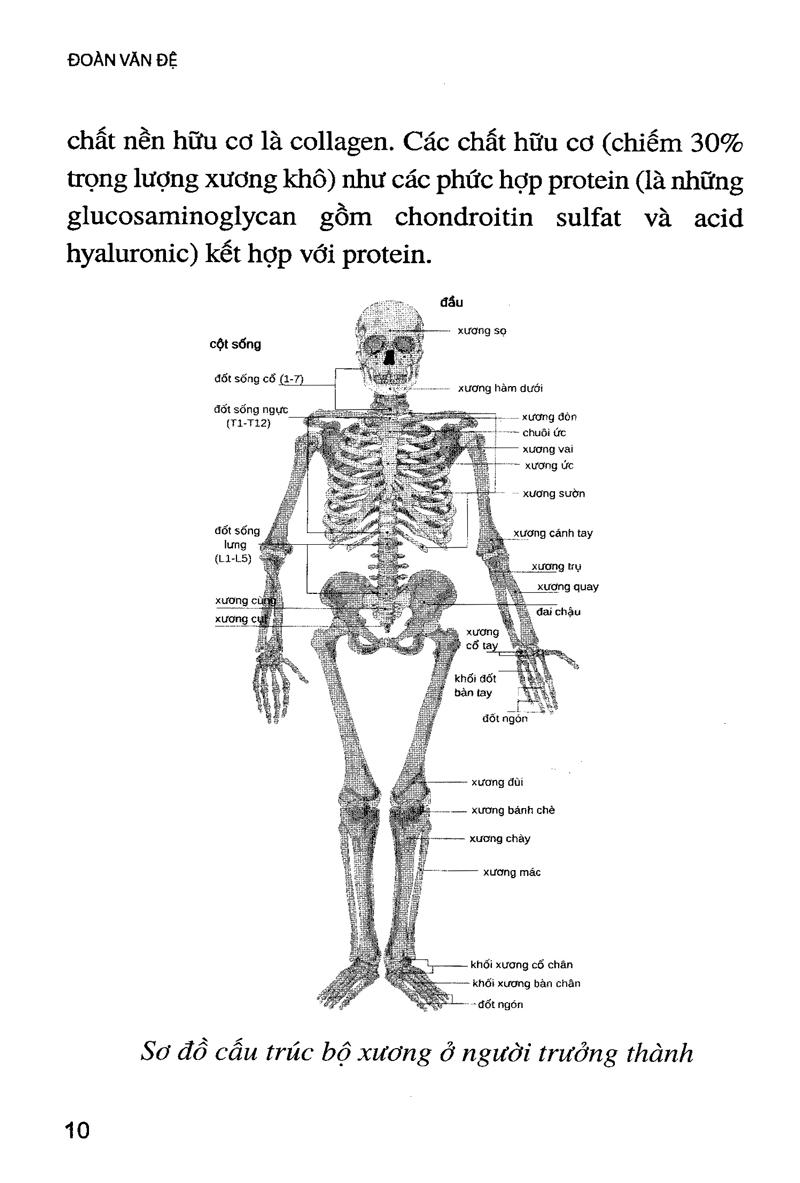 Phòng Và Chữa Bệnh Loãng Xương