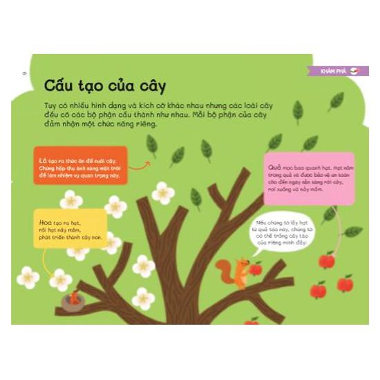 Trái Đất Xinh Đẹp Có Gì - Một Thế Giới Đầy Cây
