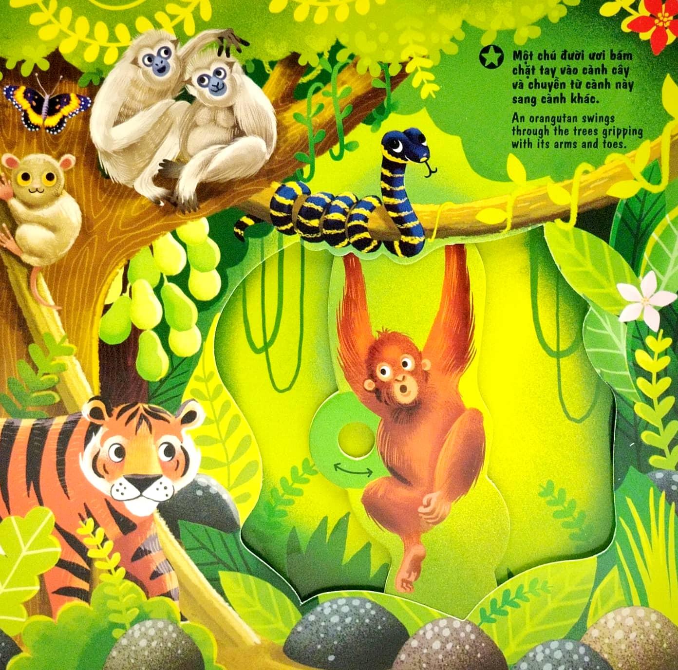 Sách Tương Tác - Sách Chuyển Động - First Explorers - In The Jungle - Trong Khu Rừng