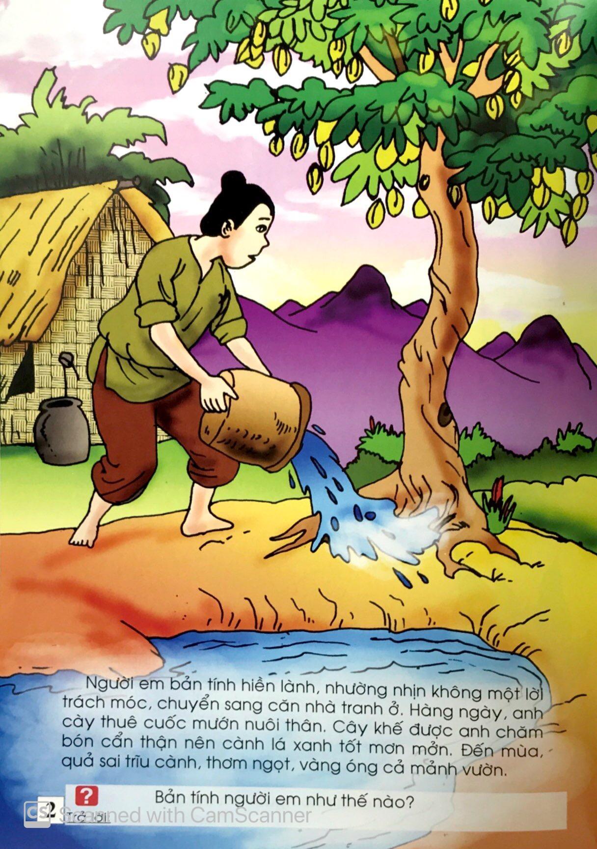 Cây Khế