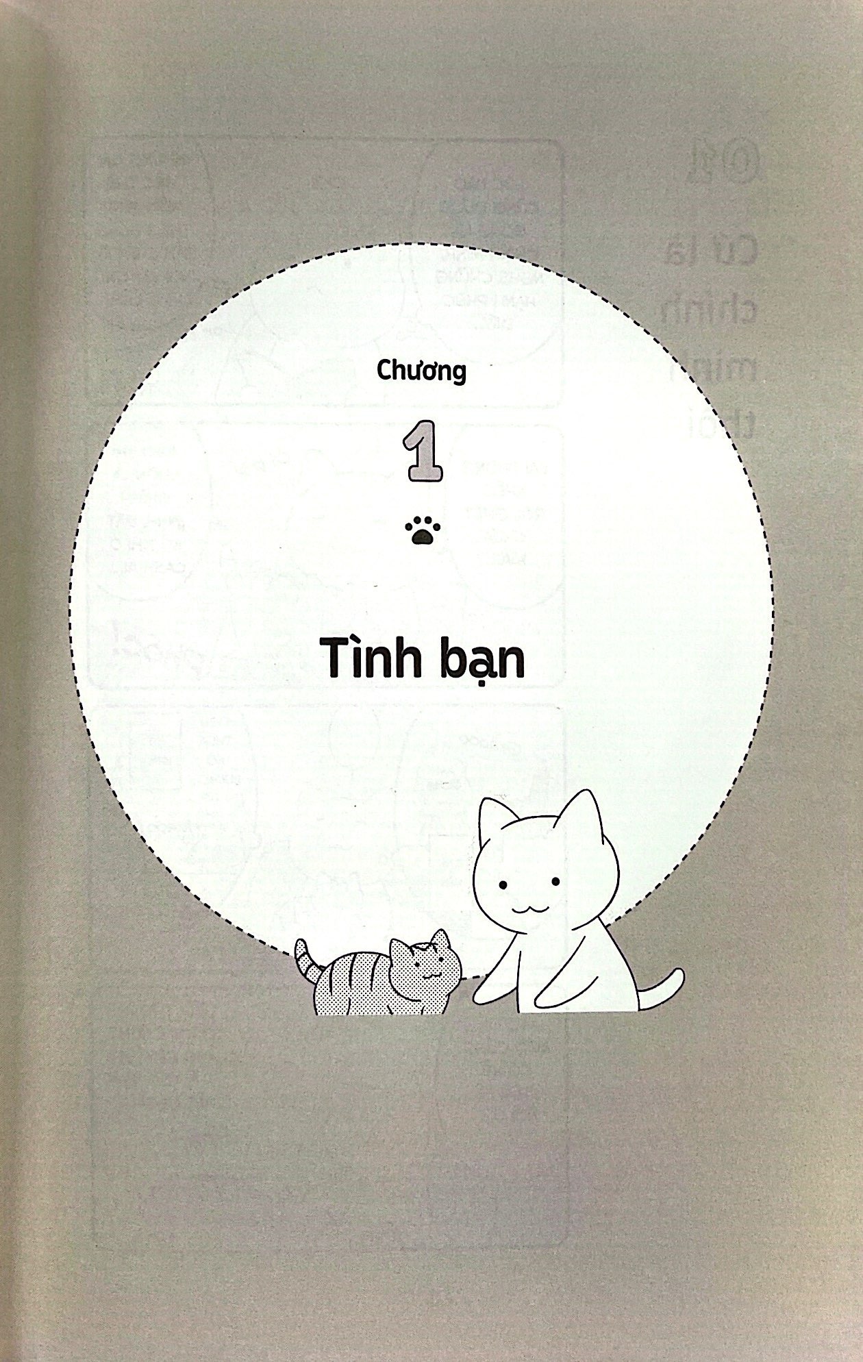Những bài học cuộc sống từ đám mèo nhà tôi