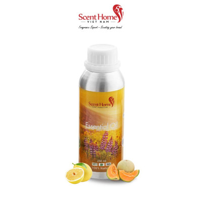 Tinh dầu Scent Homes - mùi hương (BBW Cucumber & Melon)