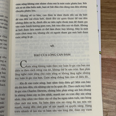 Sách - Can đảm - Là chính mình trong thế giới hiểm nguy
