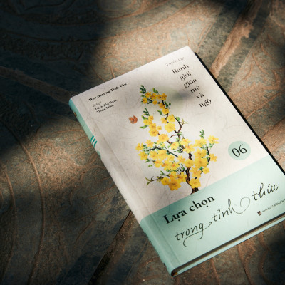 Sách - Lựa chọn Trong Tinht Thức - Tập 6 - Tuyển Tập Ranh Giới Giữa Mê Và Ngộ - Vĩnh Nghiêm Books