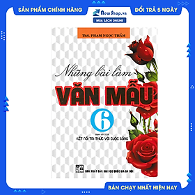 Những Bài Làm Văn Mẫu 6 (Bám Sát SGK Kết Nối Tri Thức Với Cuộc Sống) 