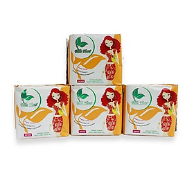 Bộ băng vệ sinh hàng ngày Lưới BELLE FLORA