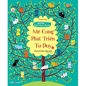 Second Big Maze Book - Mê Cung Phát Triển Tư Duy 2