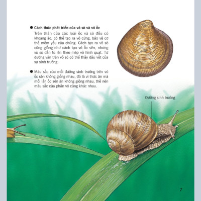 Wow, thì ra là thế! - Cơ thể của động vật