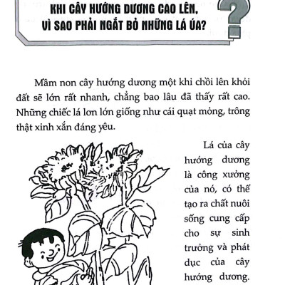 Những Điều Lạ Em Muốn Biết - Hiểu Về Thực Vật