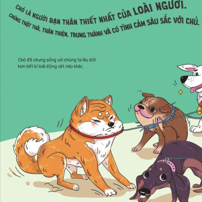 Thế Giới Động Vật - Đà Điểu Biết Trượt Tuyết Không?