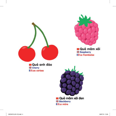 Sách Chuyển Động Thông Minh Đa Ngữ Việt - Anh - Pháp: Các Loại Hoa Quả - Fruits - Les Fruits (Tái Bản)