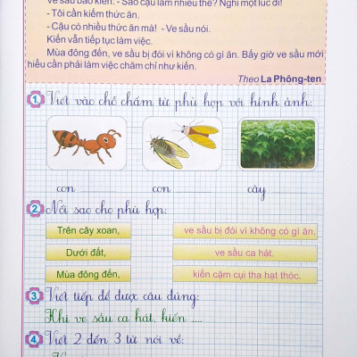 Vở Ô Li Bài Tập Tiếng Việt 1 - Tập 2
