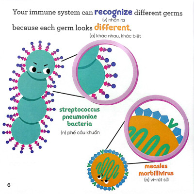 Nhà Sinh Hóa Tương Lai Vaccines - Những Cộng Sự Tài Ba Của Hệ Miễn Dịch