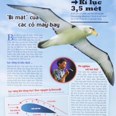 Thế Nào Và Tại Sao: Máy Bay - Giấc Mơ Bay (Tái Bản 2023)