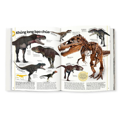 Sách - Khủng Long - Bìa Cứng - DK - Đông A