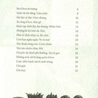 Những Loài Bọ Phá Kỷ Lục - Bọ Tí Hon Ấn Tượng