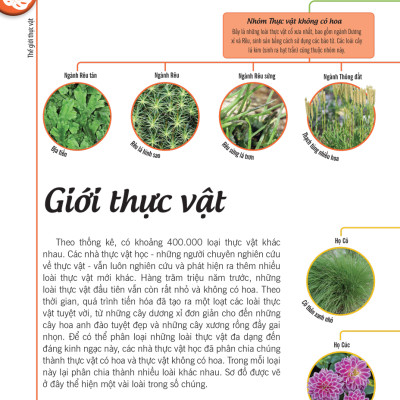 Bách Khoa Thư Về Thế Giới Thực Vật - Cây, Lá, Hoa Và Hạt_DTI