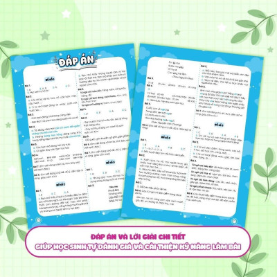 Sách - Bộ Đề Ôn Luyện Và Kiểm Tra Tiếng Việt Lớp 3 - Combo 2 Tập - Megabook