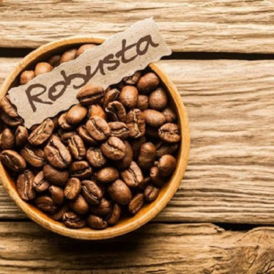 Cà phê Robusta pha máy rang mộc