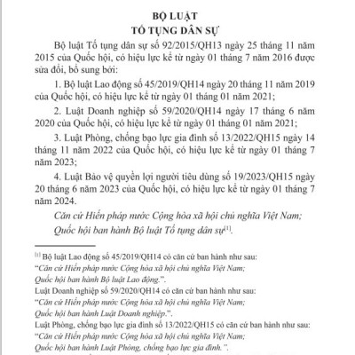 Sách - Bộ Luật Tố Tụng Dân Sự - Sửa đổi bổ sung năm 2019, 2020, 2022, 2023 - ndbooks