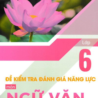Đề Kiểm Tra Đánh Giá Năng Lực Môn Ngữ Văn Lớp 6