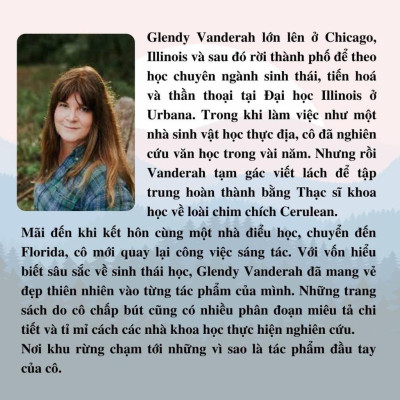 Sách - Nắng Xuyên Qua Vòm Lá - Glendy Vanderah - Wall Street Journal Bestselling Author - 1980 Books