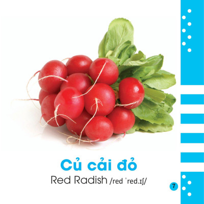 Từ Điển Bằng Hình Cho Bé - Các Loại Rau Củ - Vegetables