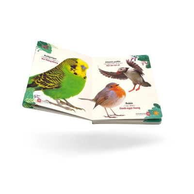 Sách - Từ Điển Bằng Tranh Thế Giới Loài Chim - Việt Thư
