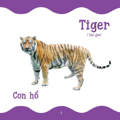 Cùng Con Trưởng Thành - Từ Điển Bằng Hình Cho Trẻ Mầm Non - Động Vật Hoang Dã