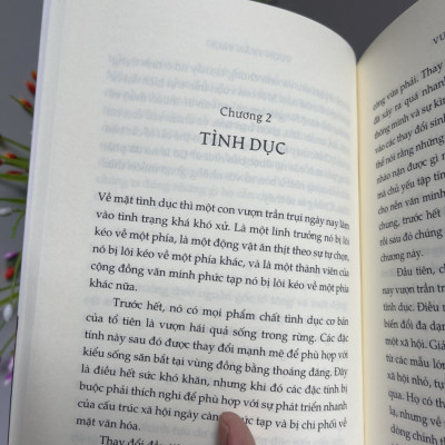 VƯỢN TRẦN TRỤI – Desmond Morris – Vương Ngân Hà dịch – Nhã Nam – NXB Hội nhà văn (Bìa mềm)