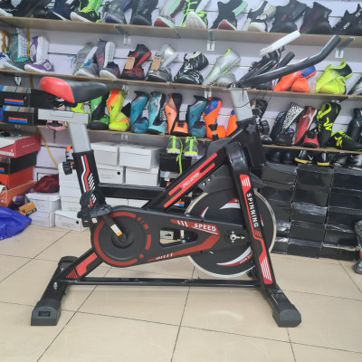 Xe đạp tập thể dục Pro Fitness Pro-X709