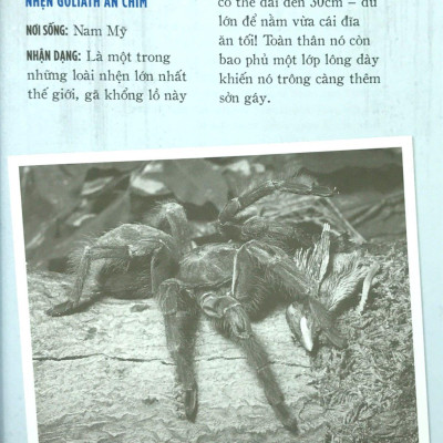 Quái Thư