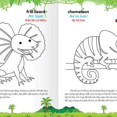 Colouring 365 Ngày Tô Màu - Khám Phá Thế Giới Phát Triển Trí Tuệ - Cuốn 2: Động Vật Hoang Dã, Khủng Long, Bò Sát, Côn Trùng