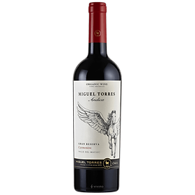 Rượu vang đỏ Chile Andica Gran Reserva Camenere