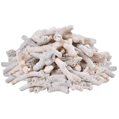 3KG San Hô Vụn vật liệu lọc hồ cá, trang trí bể cá, hồ thủy sinh cao cấp 