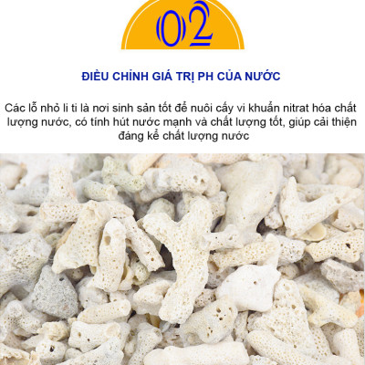 3KG San Hô Vụn vật liệu lọc hồ cá, trang trí bể cá, hồ thủy sinh cao cấp 