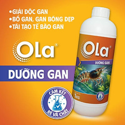 OLA DƯỠNG GAN: Phòng ngừa các vấn đề về gan, bổ gan tụy