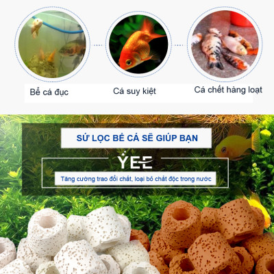 Sứ Lọc Bể Cá túi 1KG + Phân nền Dia MAX AQUA 2KG trồng cây thủy sinh hồ cá
