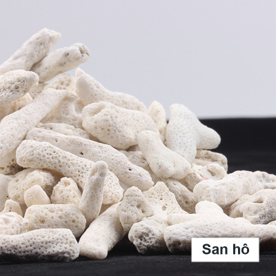 San Hô Vụn túi 1KG + Phân nền thủy sinh DIAMAX AQUA 2KG giàu dinh dưỡng, trang trí bể cá, hồ cá