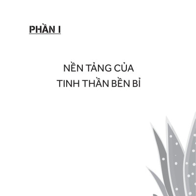 Tinh Thần Bền Bỉ - Bí Quyết Vượt Qua Nghịch Cảnh