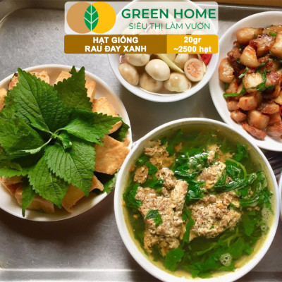 Hạt Giống Rau Đay Xanh GreenHome, Gói 20gr~2500 hạt , Dễ Trồng Quanh Năm, Thu Hoạch Nhanh R23