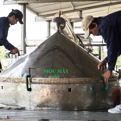 Tinh dầu Bạc Hà Mộc Mây nguyên chất 100% từ thiên nhiên, xông phòng, khử mùi, thơm phòng, đuổi muỗi, thư giản