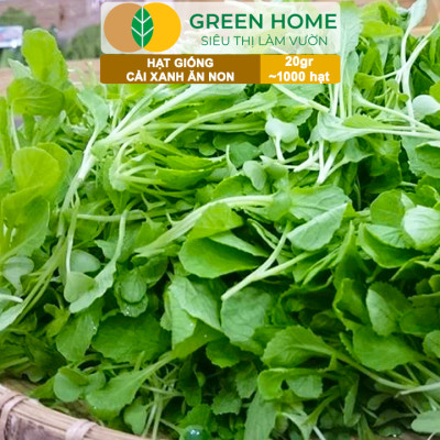 Hạt Giống Rau Greenhome, Ăn Lá, Nhiều Loại, Trồng Chậu, Dễ Trồng, Trồng Quanh Năm, Năng Suất Cao
